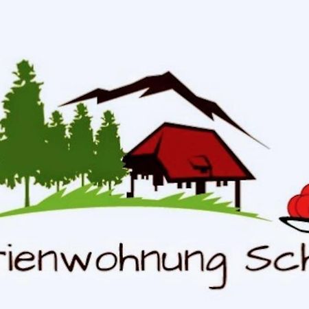 Ferienwohnung Schog トートナウ エクステリア 写真